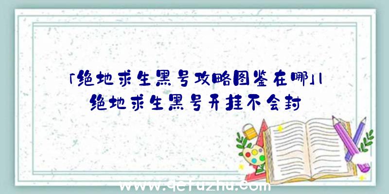 「绝地求生黑号攻略图鉴在哪」|绝地求生黑号开挂不会封